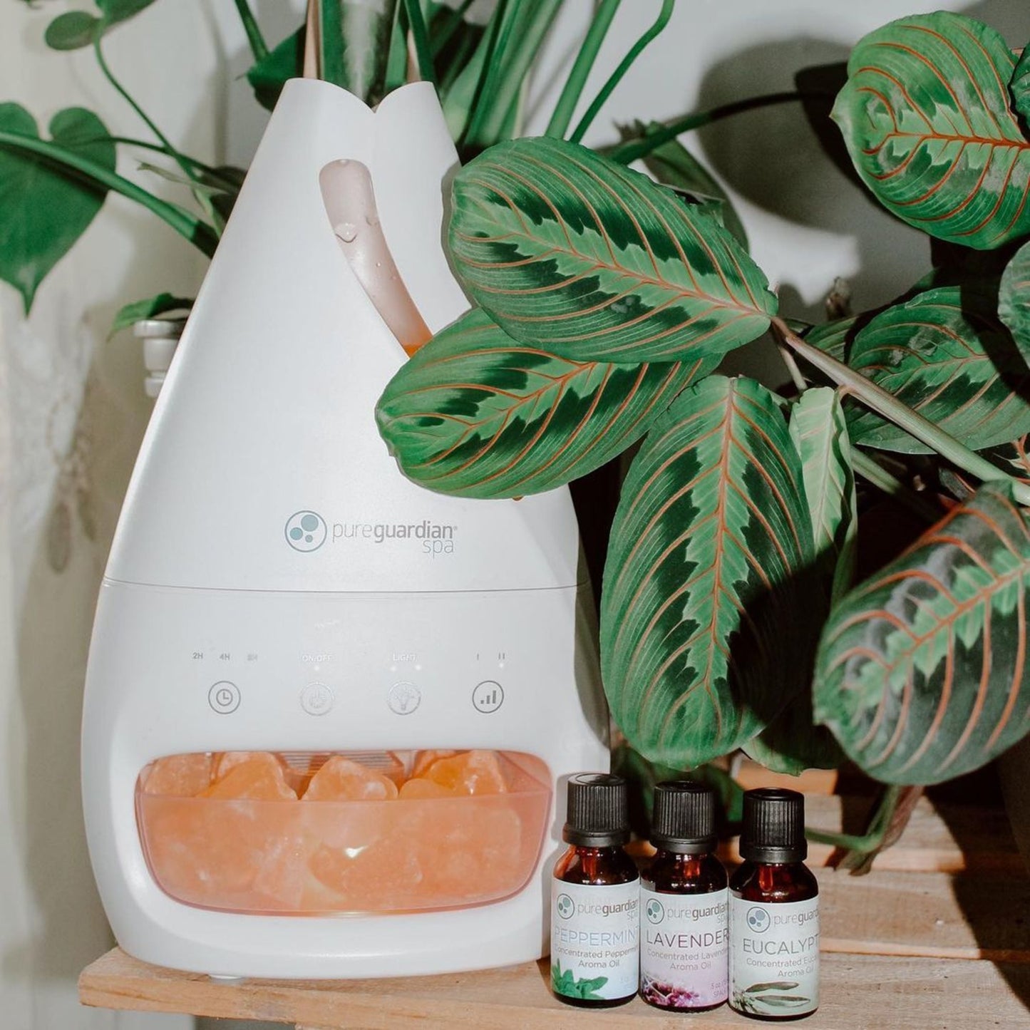 PureGuardian 3-in-1 Cool Mist Humidifier Salt Lamp with Aromatherapy Tray