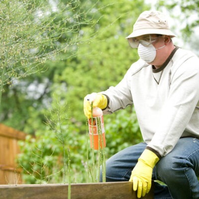 5 Tips for Surviving Spring Allergy Season