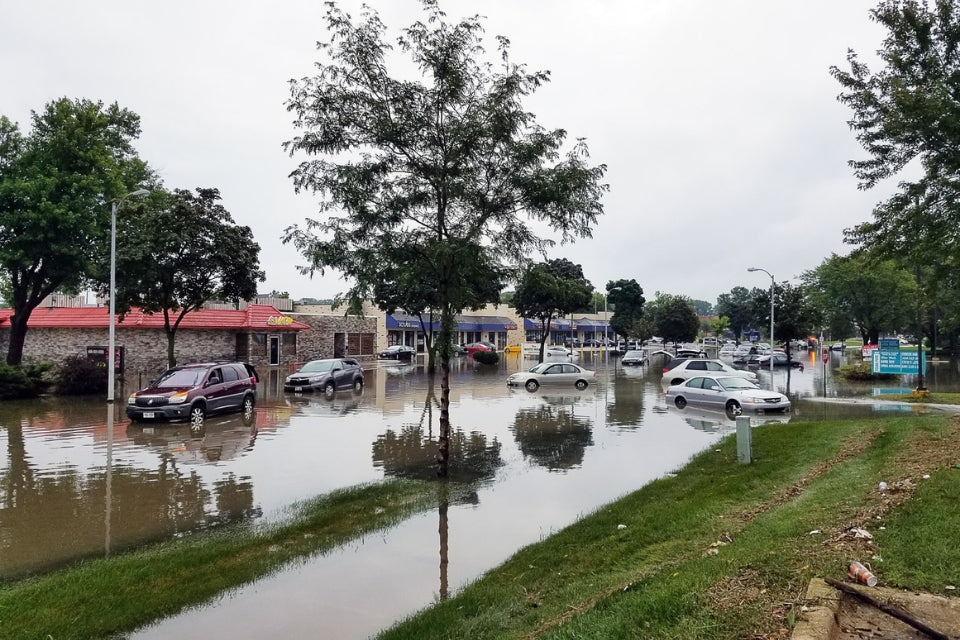 6 Reasons Why Water Restoration Business is Beneficial Nowadays