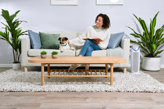 Best Air Purifier for Allergies