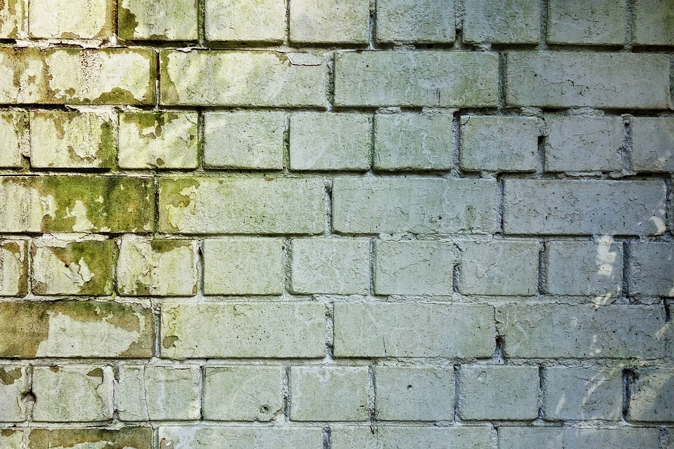 Autumn is Already Here: Stay Prepared for a Battle with Humidity and Mold