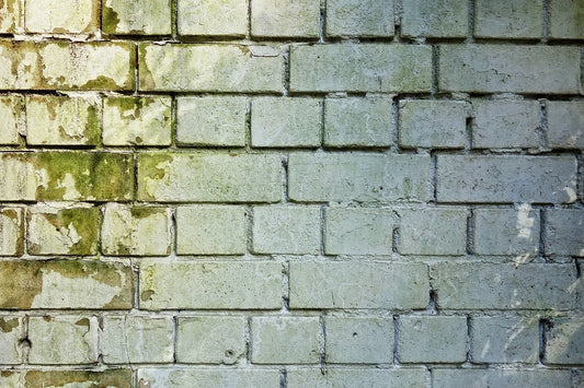 Autumn is Already Here: Stay Prepared for a Battle with Humidity and Mold