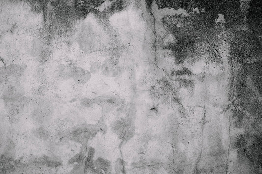 Do-it-yourself Mold Remediation: 3 Steps For Your House Clean-up