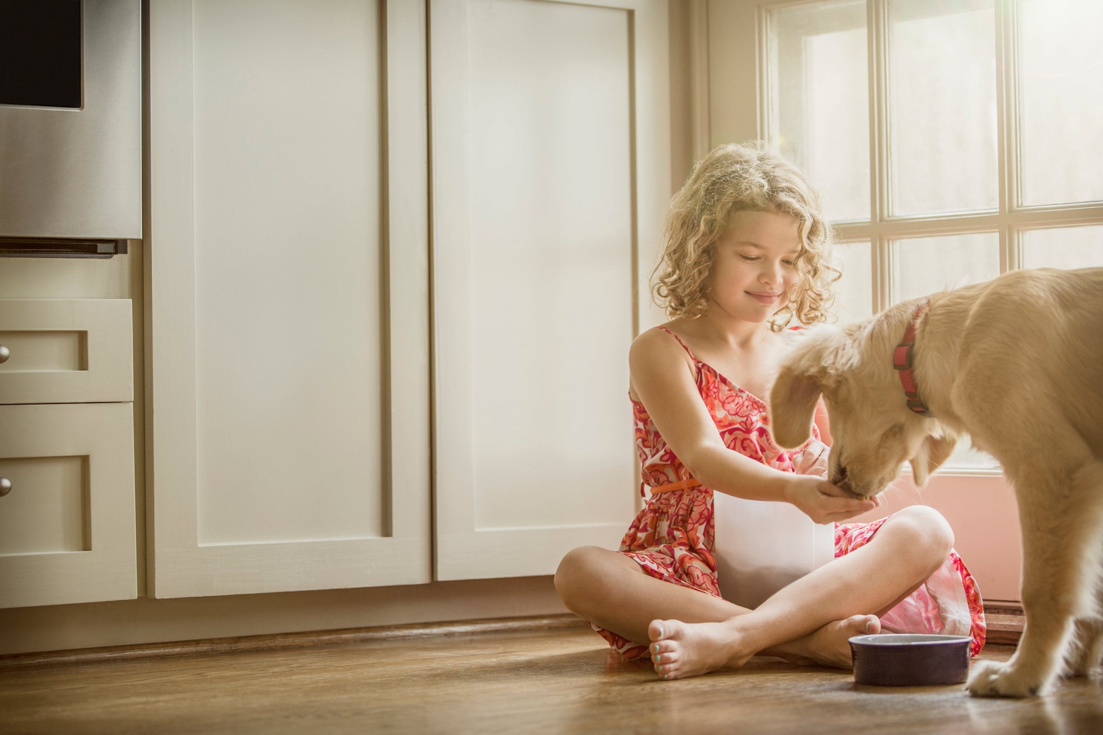 Breathe Easy with Genuine GermGuardian Specialty Replacement Filters