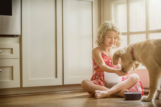 Breathe Easy with Genuine GermGuardian Specialty Replacement Filters