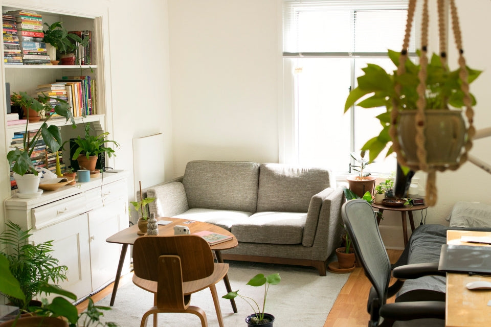 How To Get Rid Of Musty Smell In The House