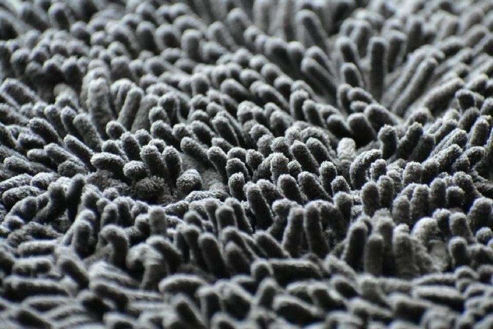 Sewage Treatment And Carpet Clean Up