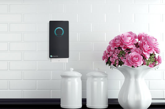 Air Sanitizers - What are They & How Can They Help Me?