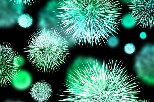 What Are Germs, The Types of Germs, & How to Prevent Them