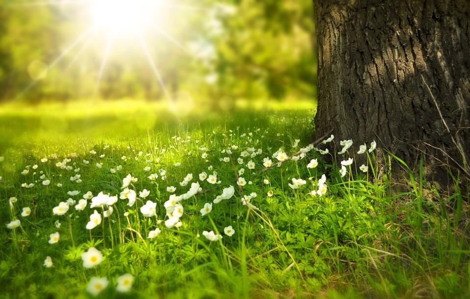 Benefits of Using a Humidifier in the Summer