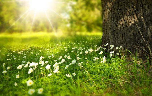 Benefits of Using a Humidifier in the Summer