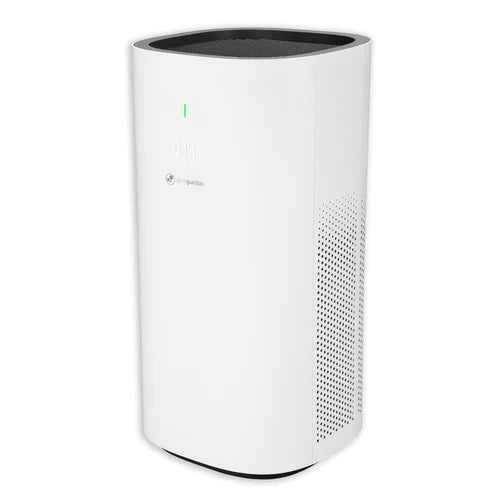 Console Air Purifiers