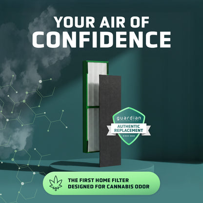 GermGuardian FLT420B Cannabis Smoke Genuine Air Purifier Replacement Filter B