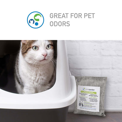 PureGuardian CB200 Bamboo Charcoal 200g Air Purifying Bag