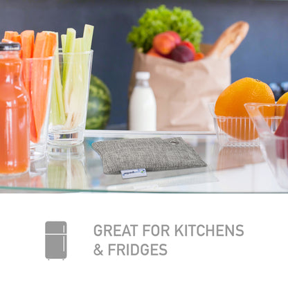 PureGuardian CB100 Bamboo Charcoal 100g Air Purifying Bag