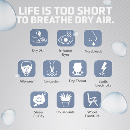 PureGuardian H965AR 1-Gallon Ultrasonic Cool Mist Humidifier