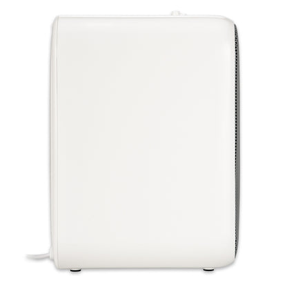 GermGuardian AC4175 HEPA PURE™ 11" Table Top Air Purifier (3-speed 4-stage UV-C filtration, gray)