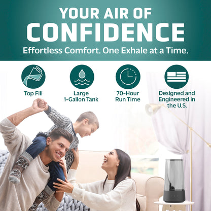 PureGuardian H980C 70-Hour Ultrasonic Cool Mist Humidifier, 1-Gallon