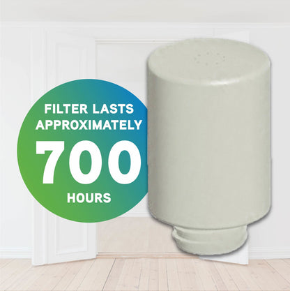 PureGuardian FLTDC20 #2 Humidifier Demineralization Filter