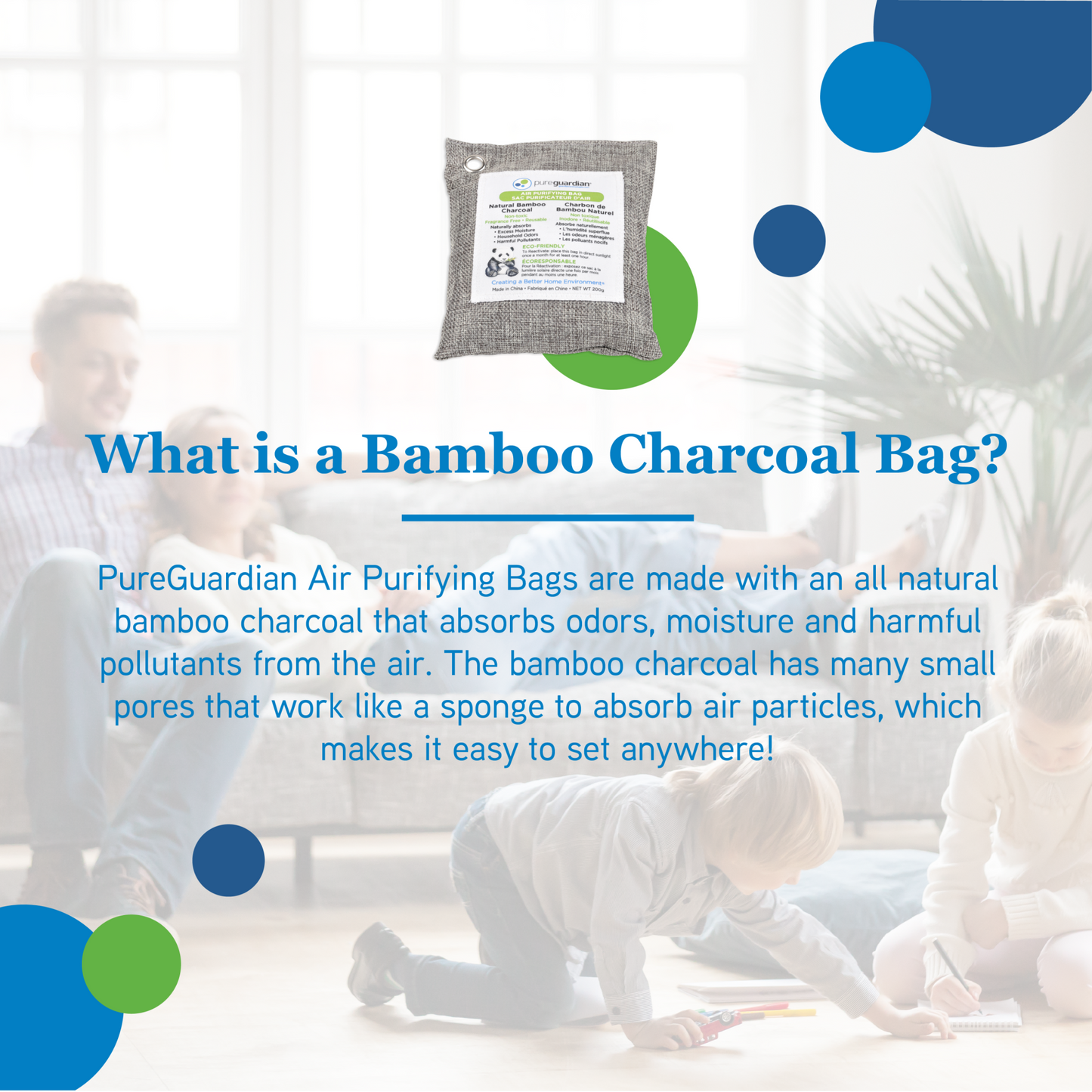 PureGuardian CB200 Bamboo Charcoal 200g Air Purifying Bag