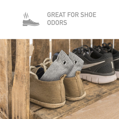 PureGuardian CB075 Bamboo Charcoal Air Purifying Bags, 2-pack, 75g ea