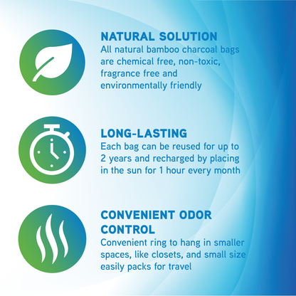 PureGuardian CB200 Bamboo Charcoal 200g Air Purifying Bag