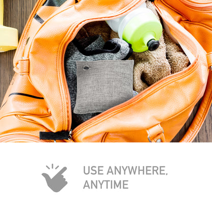 PureGuardian CB100 Bamboo Charcoal 100g Air Purifying Bag