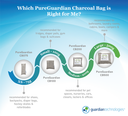 PureGuardian CB200 Bamboo Charcoal 200g Air Purifying Bag
