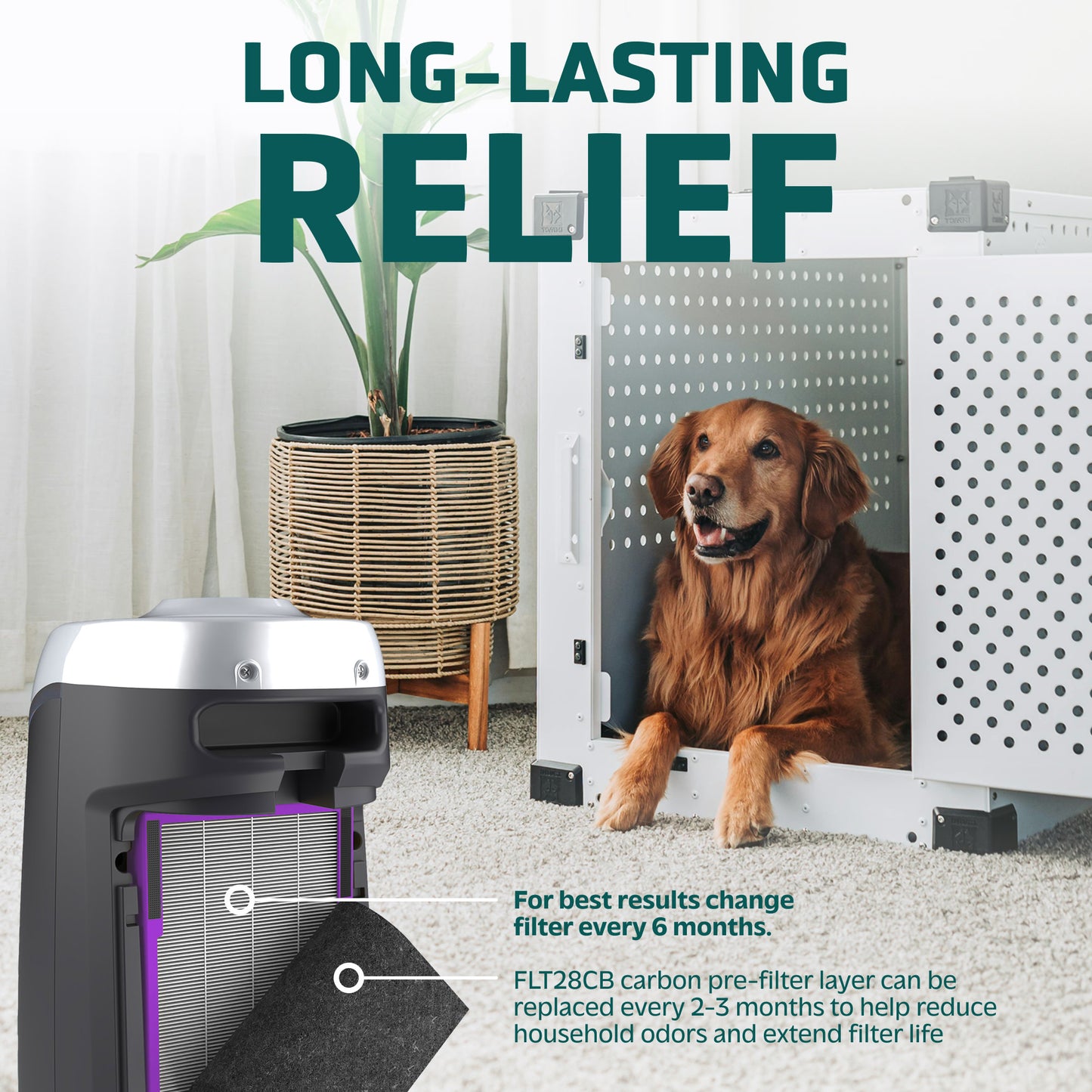 GermGuardian FLT5250PT PET PURE™ Air Purifier Filter C