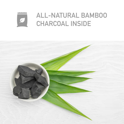 PureGuardian CB075 Bamboo Charcoal Air Purifying Bags, 2-pack, 75g ea