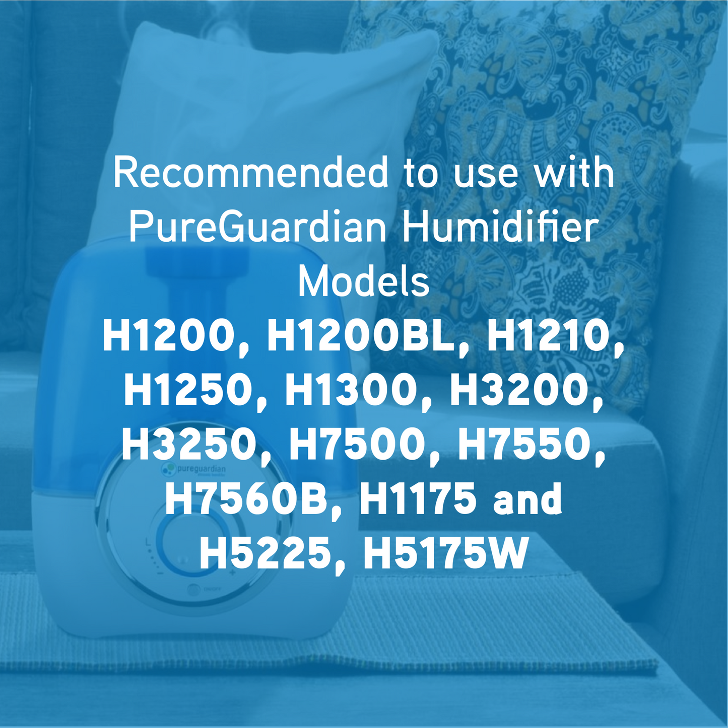 PureGuardian FLTDC20 #2 Humidifier Demineralization Filter